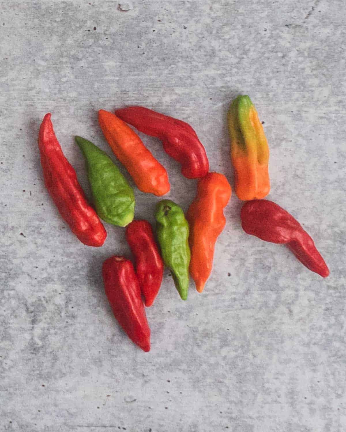 Ten small peppers or aji de colores.