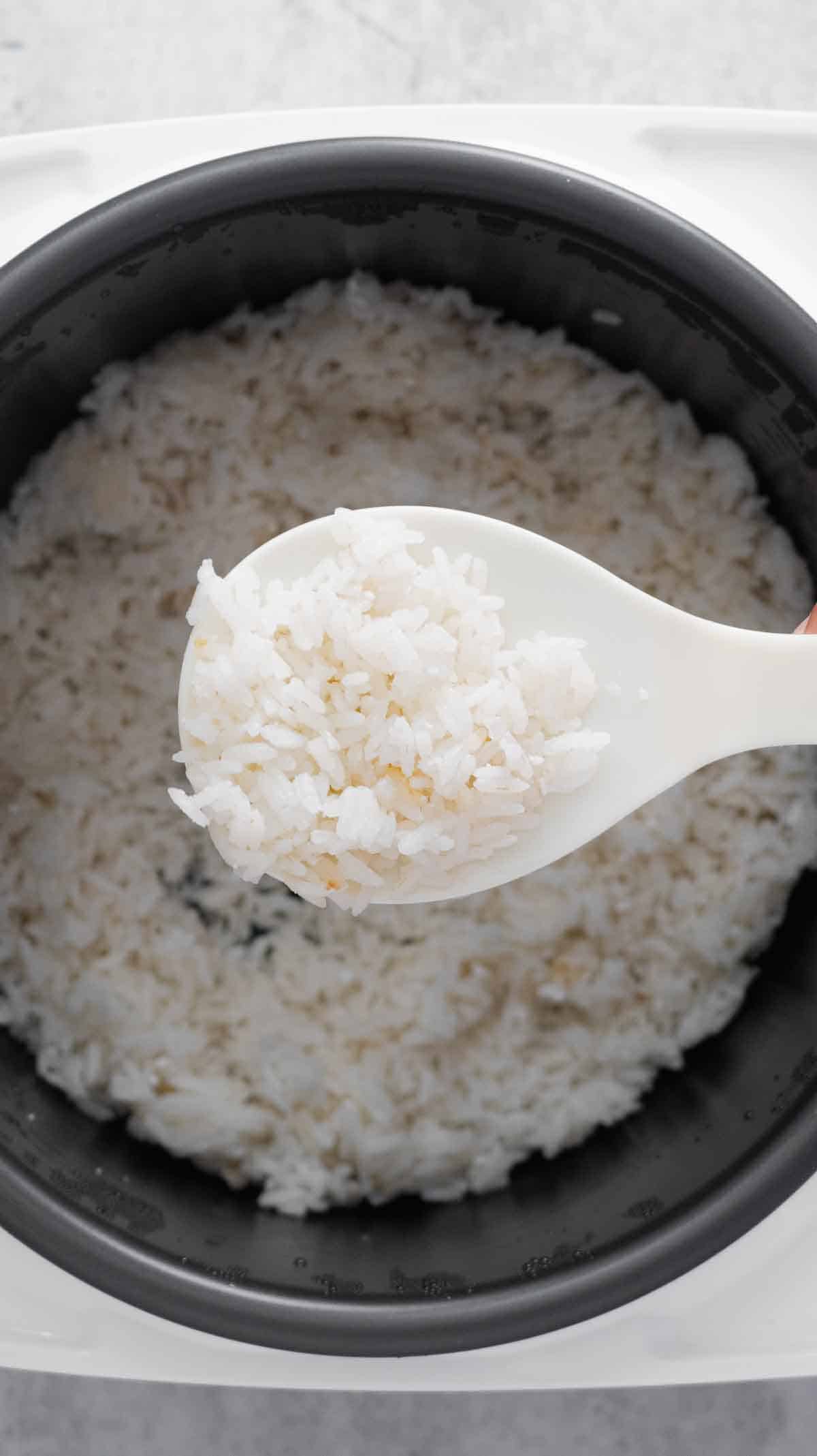 A scoop of cooked coconut rice over the rice cooker.